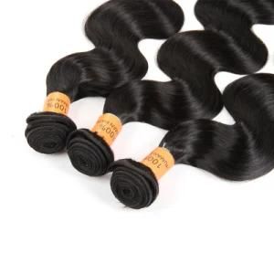 Grade 10A Peruvian Cuticle Aligned Double Drawn Natural Hair Extensions