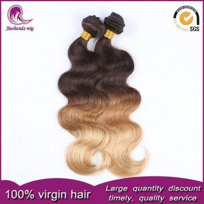Ombre 2/3t Color Indian Remy Human Hair Weave