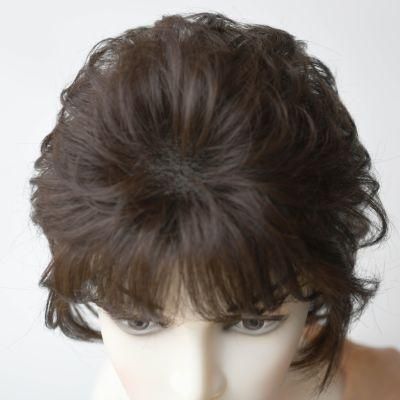 Wholesale Premium Quality Fashion Short Hair Style Full Handtied Human Hair Synthetic Hair Wigs