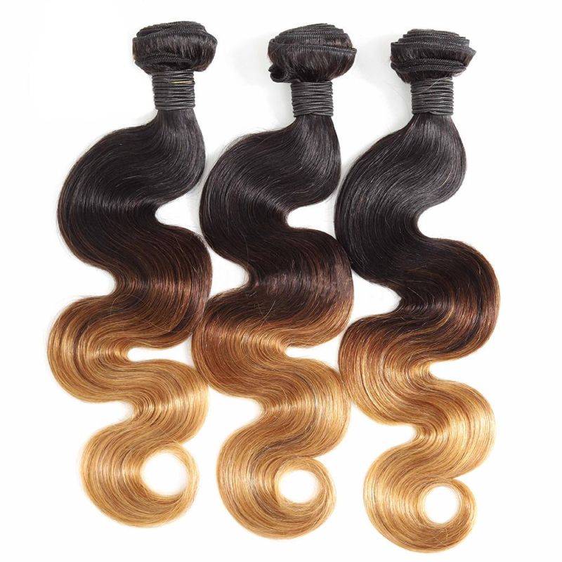 Free Sample Raw Hair Bundles Virgin Brazilian Wholesale Bundles Virgin Hair Colored Human Hair with Closures