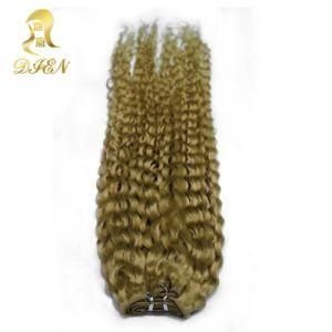 Guangzhou Suppliers Curl Brazilian Hair 6A Weaving Hair