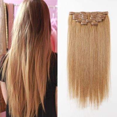 Silky Straight Human Hair Clip-in Hair Extension (27#)