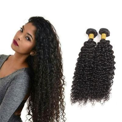 Luxuve Cheap Price 100% Brazilian Human Hair Jerry Curly Natural Black 8A Grade Hair Bundle