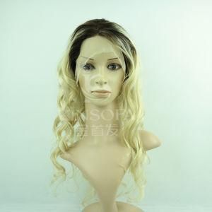 100% Human Hair Full Lace Wigs