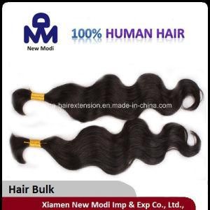 Brazilian Human Hair Bulk Virgin Human Hair