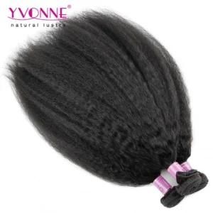 Fashion Wholesale Hair Kinky Straight Human Hair Extension for Black Women