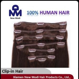 Hot Selling Virgin Human Clip in Hair Extensions