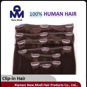 Hot Selling Virgin Human Clip in Hair Extensions