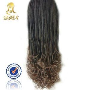 Kanekalon Synthetic Hair Ombre Braid Lace Wig