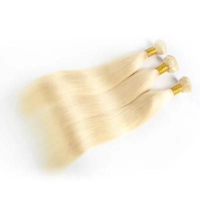 613 Virgin Hair Human Hair Wigs Women Indian Hair