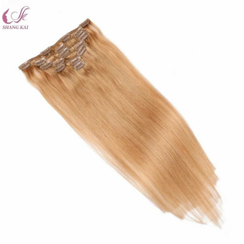 Clip in Human Hair Extension Supplier