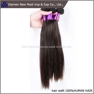 Top Quality Wholesale Price Straight Virgin Brazilian Human Hair