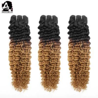 Angelbella Raw Brazilian Human Hair Deep Curly 100% Virgin Hair Bundles