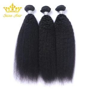 Human Hair Extension of #1b Color Kinky Straight Virgin Hair Bundle