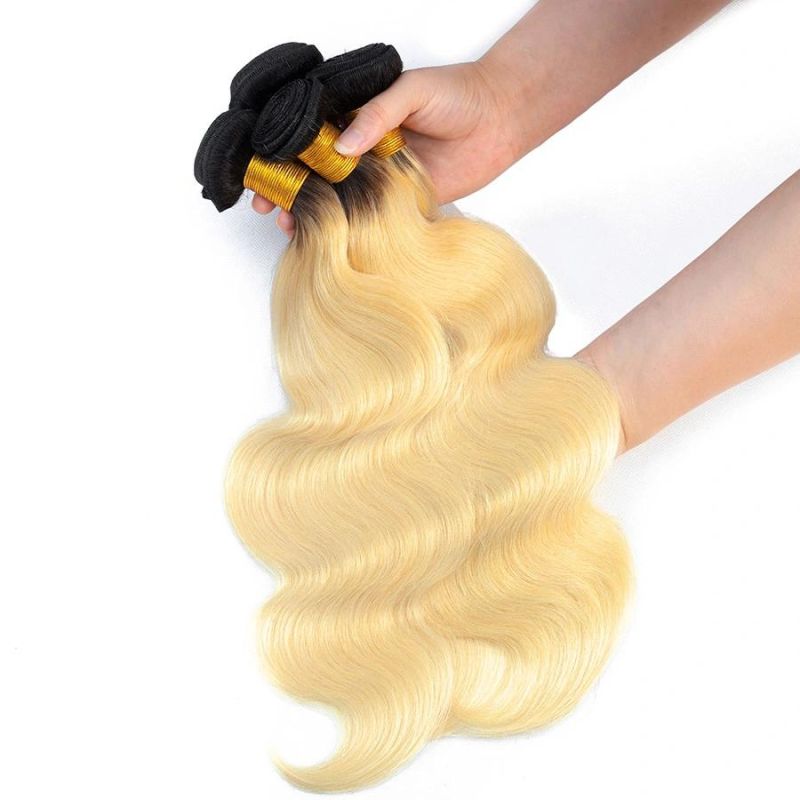 Alinybeauty Wholesale T1b/613 Body Wave Bundles with Closure