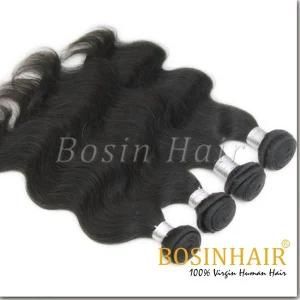Brazilian 100% Remy Hair Virgin Hair (BX-206)