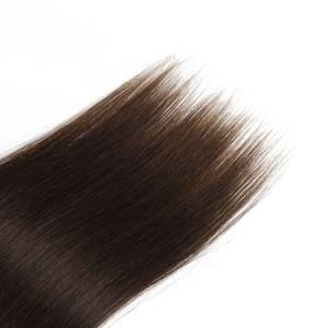 Brazilian Straight Brown Clip-in 100% Human Hair