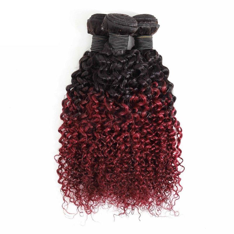 Factory Supply Wholesale Kinky Curly Raw Indian Cuticle Aligned Hair