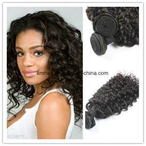 Hot Selling 100% Human Hair High Quality Virgin Hair Kinky Curly Hair Weaving