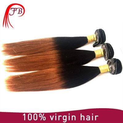 Straight Brazilian Remy Omber Human Hair Weave with Closure