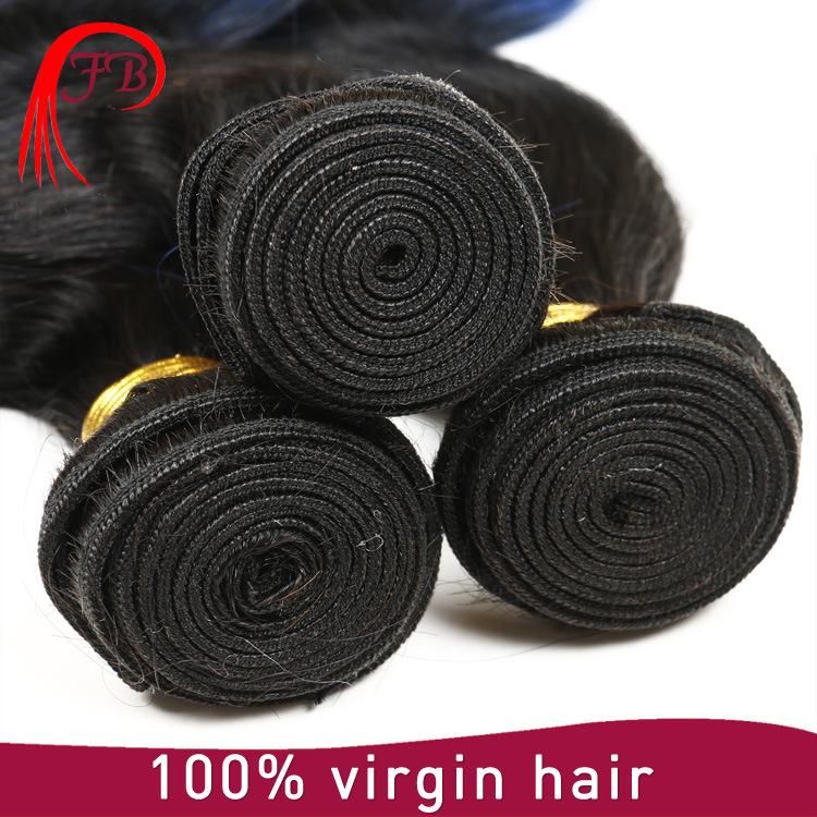 Brazilian Virgin Omber 100% Body Wave Human Remy Hair