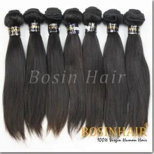 Brazilia Straight Hair Brazilian Hair Extension Bx-555