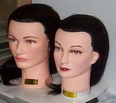 Human Hair Training Head (AV-EF01)