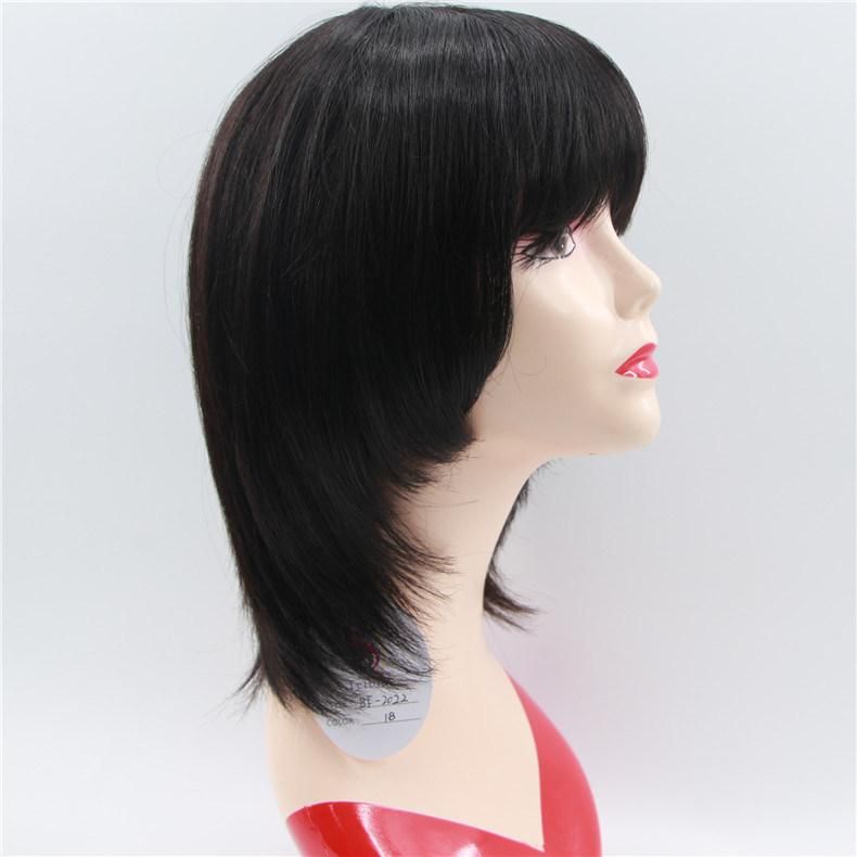 Factory Price Cheap Short Brazilian Human Hair 10inch Woman Wig
