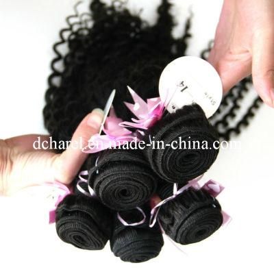 100% Virgin Brazilian Human Hair Afro Kinky Curly Remy Hair Extensions