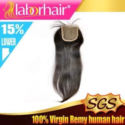 Brazilian Human Virgin Hair Hand Tied Free Parted Lace Closure Lbh 109
