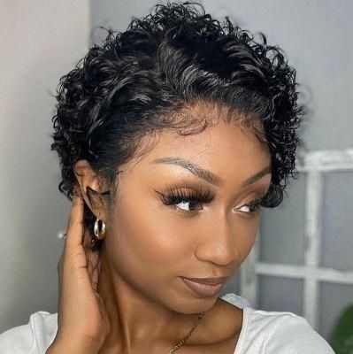 Short Wigs Preplucked Curly Human Hair Wigs Pixie Cut Wig