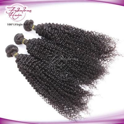Wholesale Virgin Hair Vendors 100% Peruvian Kinky Curly Hair