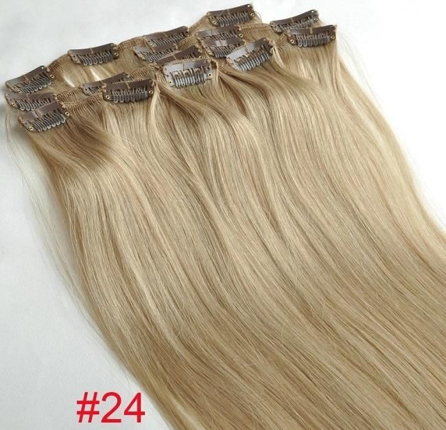 Clip on Hair Extension Remy Clip in Human Hair Extensions (AV-CH009-22)