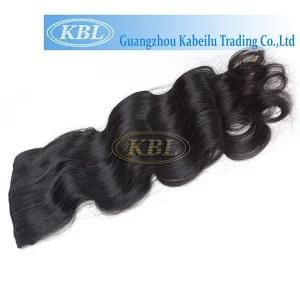 Quality Remy Clip in Hair Extensions for African American