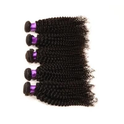 Best Sale Remy Virgin Brazilian Hair Extension Kinky Curly Hair
