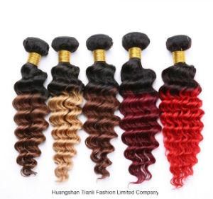 Top 2 Tone/3tone Brazilian Virgin Hair Ombre in Human Hair Weaves