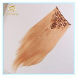 Customized Color High Quality Large Stock Clip Extension Hair with Factory Price Ex-064