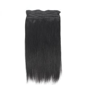 Double Weft Hair Extensions Clip in Hair Extensions Straight Hair