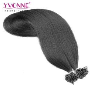 Factory Wholesale 100% Cheap Straight U-Tip Hair Extension