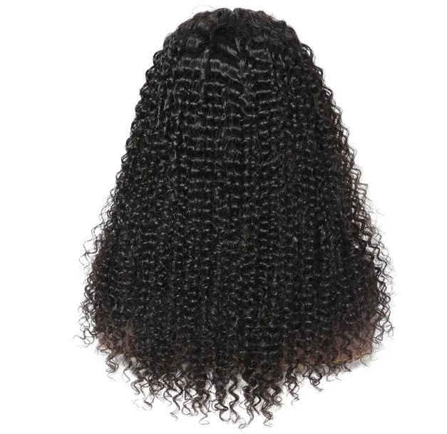 Hot Curly Human Hair Lace Front Wigs for Women with Baby Hair Brazilian Remy Hair Pre Plucked Middle Part Lace Front Wigs