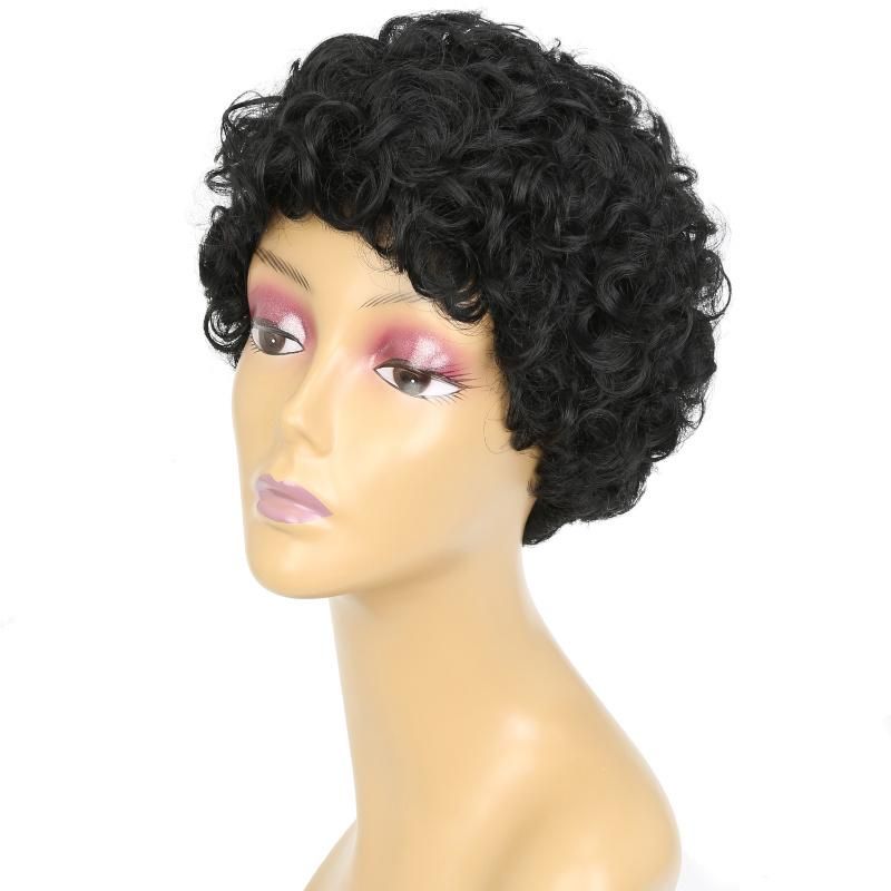 for Black Women Afro Black Short Curly Cut Heat Resistant Fiber Wig