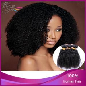 Wholesale Human Hair Indian Hair Kinky Curly Human Hair