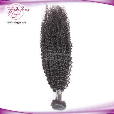 Wholesale Best Weaving Remy Brazilian Human Hair Kinky Curly Bundles
