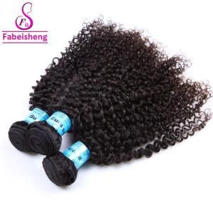 Brazilian Braiding Weave Hair Extension Kinky Curly Hair