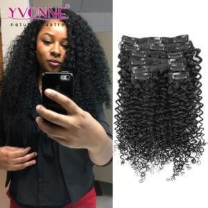 Malaysian Curly Human Hair Clip in Extensions, Brazilian Virgin Hair Clip in Extension