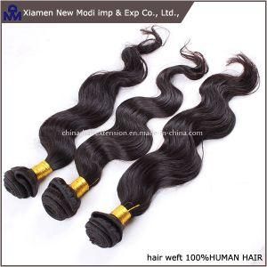 Natural Color for 100% Brazilian Vrigin Human Hair Weft