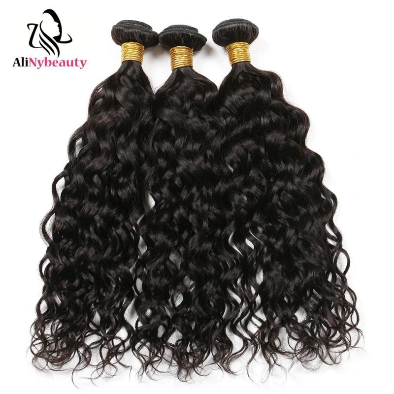 Factory Price Virgin Indian Water Wave Hair Bundle with Lace Closure