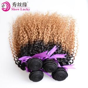 Top Grade 10 Cambodian Kinky Curly Virgin Human Ombre Hair Weave 1b/Blonde Remy Hair Extensions Two Tone Hair