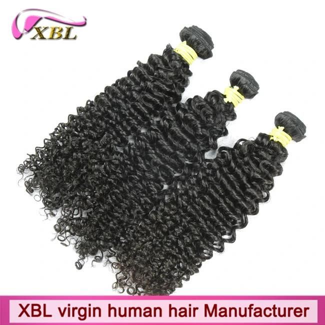 Xbl Top Sale Curly Virgin Remy Human Hair Extension