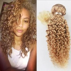 Different Style 8A Grade Afro Kinky Curly Hair Pure Color 27# Virgin Hair Weave Human Hair Extensions
